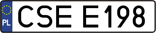 CSEE198