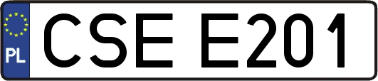 CSEE201