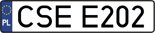 CSEE202