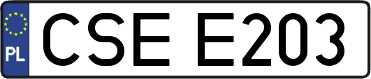CSEE203