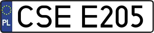 CSEE205