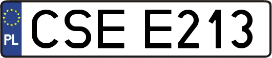 CSEE213