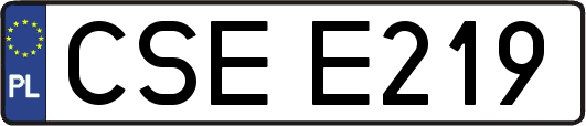 CSEE219
