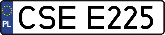 CSEE225
