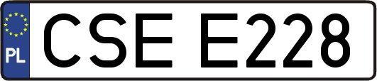 CSEE228