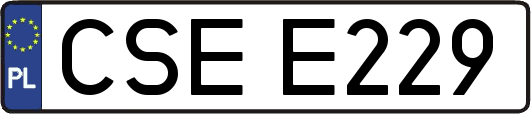 CSEE229