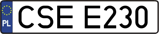 CSEE230