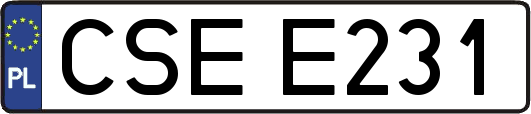 CSEE231