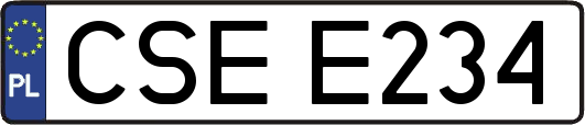 CSEE234