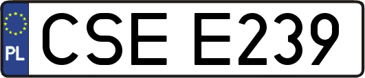 CSEE239
