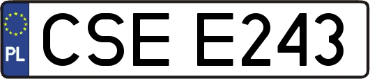 CSEE243