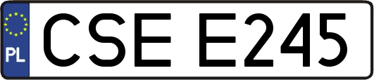 CSEE245