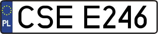CSEE246