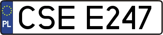 CSEE247