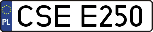 CSEE250