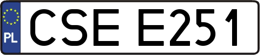 CSEE251