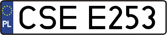 CSEE253