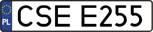 CSEE255