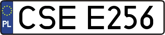 CSEE256