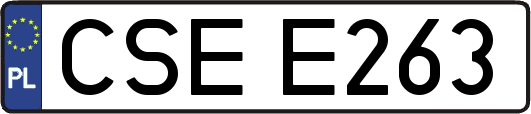 CSEE263