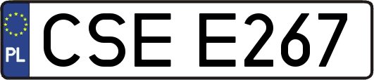 CSEE267