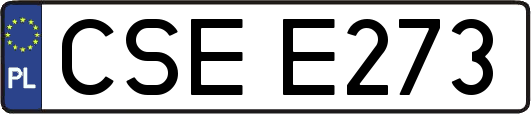 CSEE273