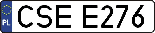 CSEE276