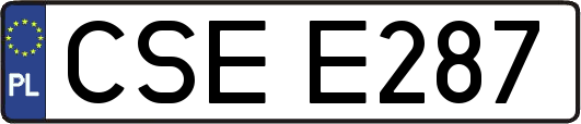 CSEE287