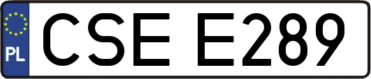 CSEE289