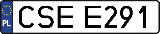 CSEE291