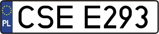 CSEE293