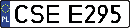 CSEE295