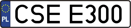 CSEE300