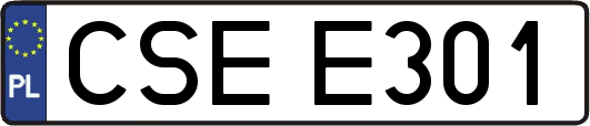 CSEE301