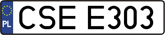 CSEE303