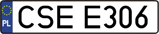CSEE306