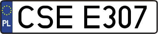 CSEE307