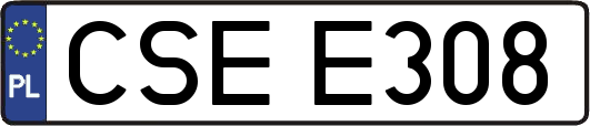CSEE308