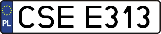 CSEE313