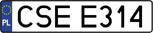 CSEE314