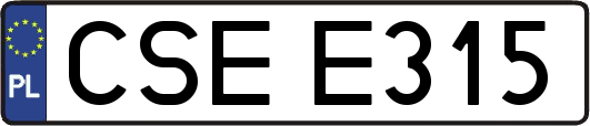 CSEE315