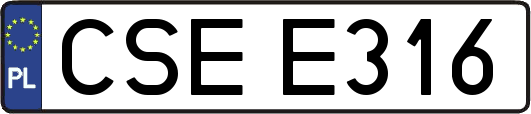 CSEE316