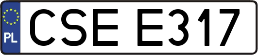 CSEE317