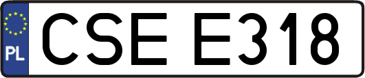 CSEE318