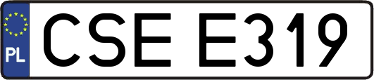 CSEE319