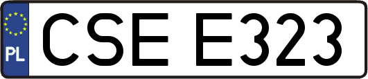 CSEE323