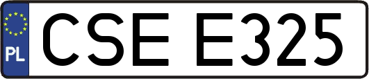 CSEE325