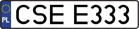 CSEE333