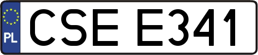 CSEE341
