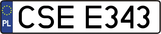 CSEE343